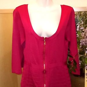 Boston Proper Sexy Raspberry Fitted Scoop Neck Sweater